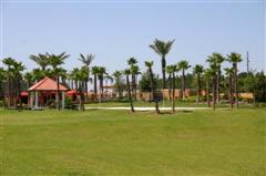 Solana Resort Florida - Recreation Field